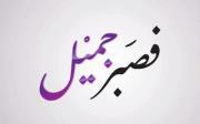 Ahmed Hassan