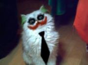 অর্ণব মুখার্জী