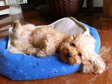 Monikamochika813 7-2