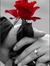Anas Me...