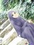 Amira A...
