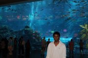 Abhitej Reddy
