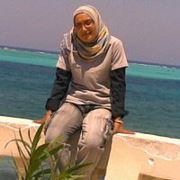Doaa Aref