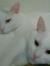 Tracy S...