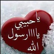 حبيبة القران