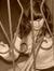 Maryna