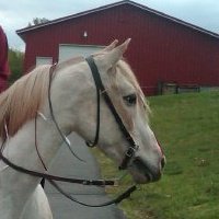 Beverly Jenkins alloco