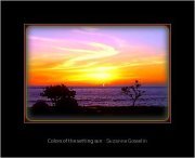 Reema Venkatachalapathy