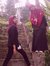 Stevy D...