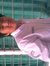 Arief S...