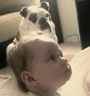 Colleen Lucas knopke