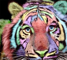 tinytigger