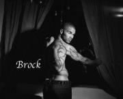 Brock Breed