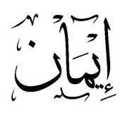 Eman Adel