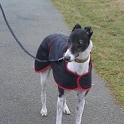 Paula Hartharn-evans