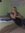 Nicole ...