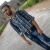 Nagendra Sharma