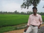Satheesh K