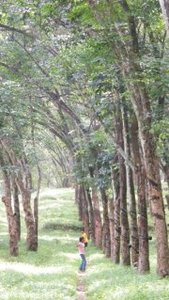 പ്രകൃതിയിലേക്ക് ഒരു യാത്ര