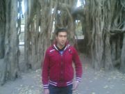 احمد البرماوى