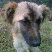 Carlos Rojas camacho