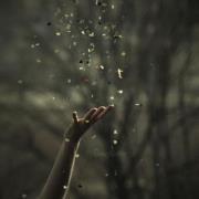 آلاء القدمي