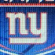 Jacklyn Stellingwerf