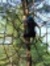 Amy Shupe
