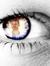Gokul B...