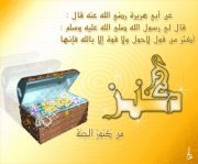 Alaa Mahmoud