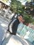 Banajit...