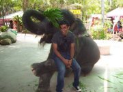 Rohit Shetty