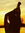 Allie | 1 comments