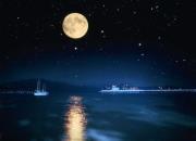 أضواء المحمدي