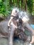 Rohit S...