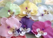 Sandhya Ganapathiraju