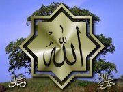 Mohammed Abdeltawwab