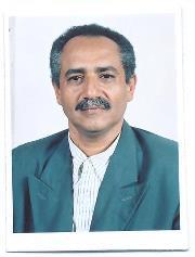 نبيل العبسي