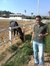Mostafa...