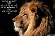 Mohamed Sayed