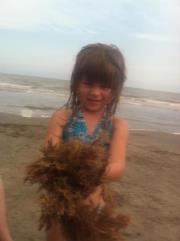 Beth Seinfeld-williams