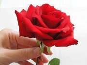 Sabir Hussain