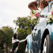 Joyce Rutter van egmond