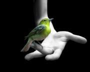 Ye Myint