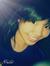 Celin Z...