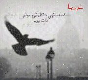 Sawsan Majed