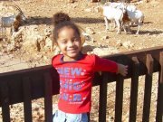 מישלוש פריי