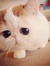 Winnie
