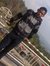 Moham G...