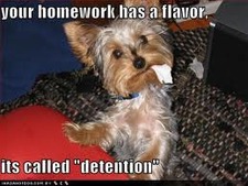 Tucker H.